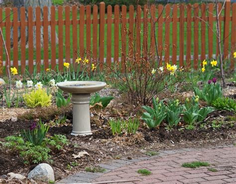 April showers bring may flowers, and true to that adage, cootes paradise in hamilton, ontario, was liberally sprinkled with early spring wildflowers. Visit My Garden: Early Spring Flowers