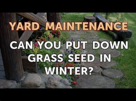 Get the best of the web with zapmeta. Can You Put Down Grass Seed in Winter? - YouTube