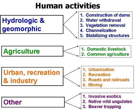 Different Types Of Human Activities That Can Cause Alterations To