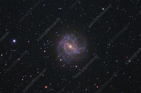 M83 The Southern Pinwheel Galaxy Stock Image C0335024 Science