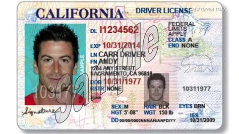 Can An Illegal Immigrant Get A Drivers License In Ca Newcrod