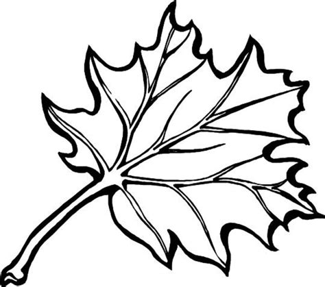 Fall Leaves Printable Coloring Pages Coloring Page For Kids | Kids Coloring