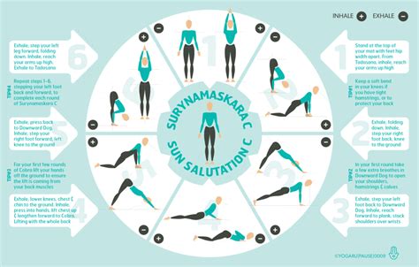 Follow the steps in the tutorial to familiarize yourself with the essential asanas and their alignment. Sun Salutation, a closer look — YOGARU