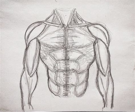 Male Torso Quick Muscle Study Pencil Sketch On Paper Flickr