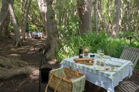 Vergelegen Camphor Forest Picnic Restaurant In Somerset