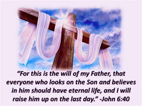 John 640 Father Son Of God Praise God