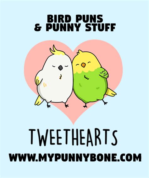 80 Bird Puns And Jokes That Are So Funny And So Fly Mypunnybone