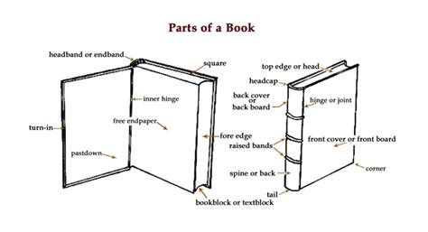 15 Detailed Diagrams That Show How A Book Is Made