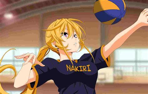 Top 138 Volleyball Anime Wallpaper