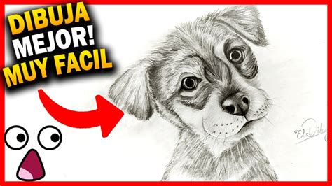 Perro Dibujo Realista Atigrado Dibujando Homerisice