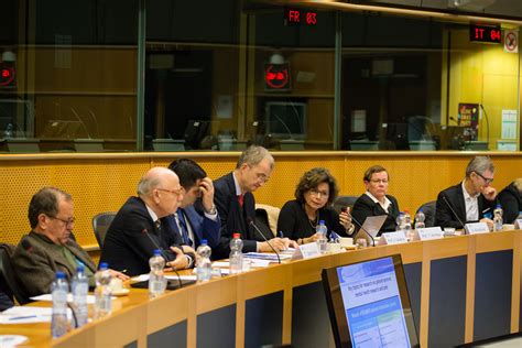 european parliament interest group on mental health well being and brain disorders 3 december