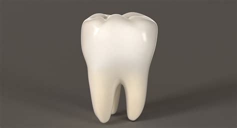 Teeth 3d Model