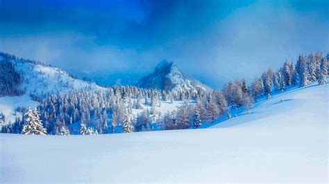 Beautiful Snow Covered Trees Mountains Winter Field Under Blue Sky Hd