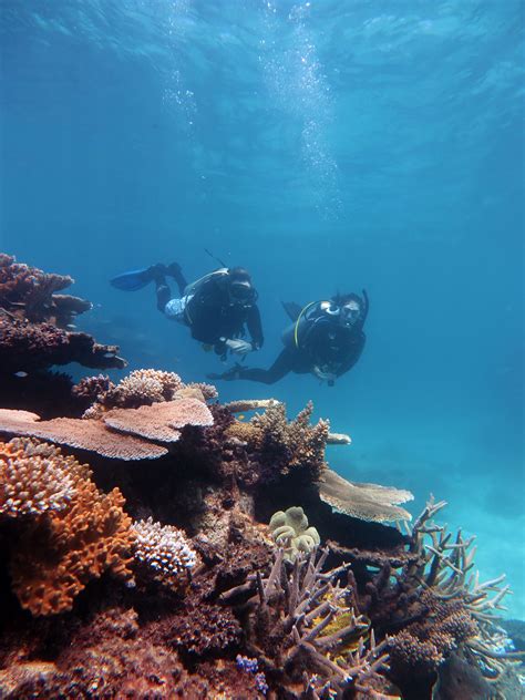 Community Action Plans to help prioritise reef protection measures | NQ ...