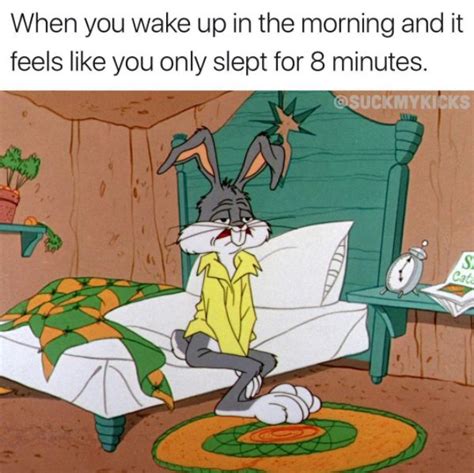 Wake Up Early So You Can Prepare For The Day Slowly Funny Memes