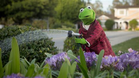 Kermit The Frog Flowers Sesame Street The Muppets Garden Hose