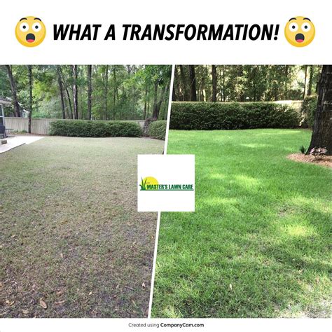 Our basic lawn fertilization program consists of 6 timely applications throughout the growing season. 13 weeks after initial lawn application backyard #nofilter ...