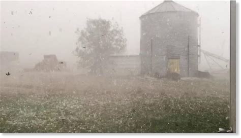 Severe Hailstorm Pounds Buildings Crops In Newell South Dakota