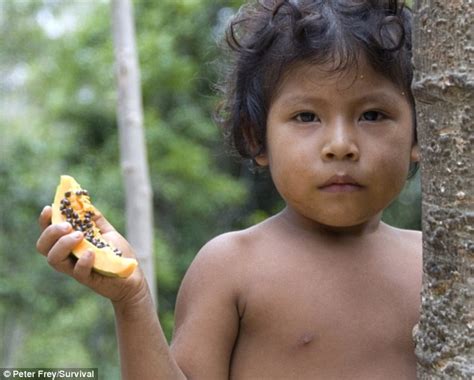 Amazon Images Pictures Of Awá Tribe At Work And Play Daily Mail Online