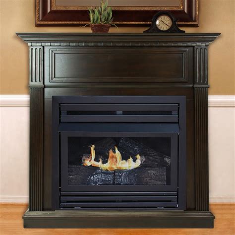 Gas Fireplace Ventless Logs Home
