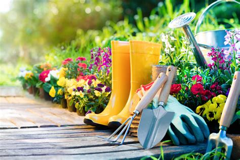 Garden Centers Gardeners Supply Company