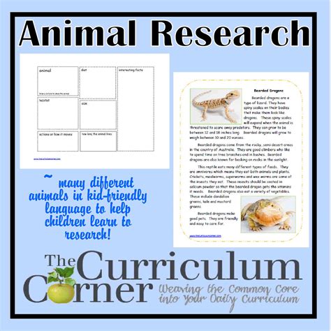 Animal Research Activities The Curriculum Corner 123
