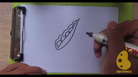 How To Draw Simple Peas Youtube