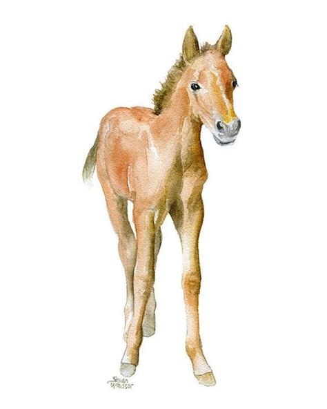 Pin De Arte1 Worldpress Em Watercolor Cavalo Aquarela Cavalos