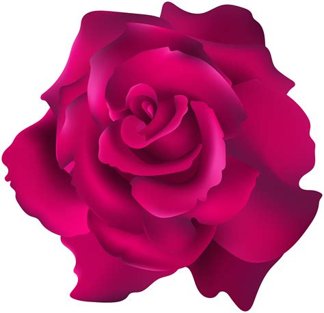 Pink Rose Transparent Clip Art Png Image Gallery