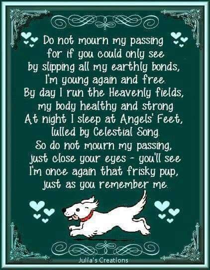 Pup In Heaven Poem Dog Poems Dog Quotes Animal Quotes