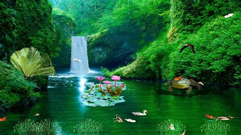 New Zealand Waterfall Download