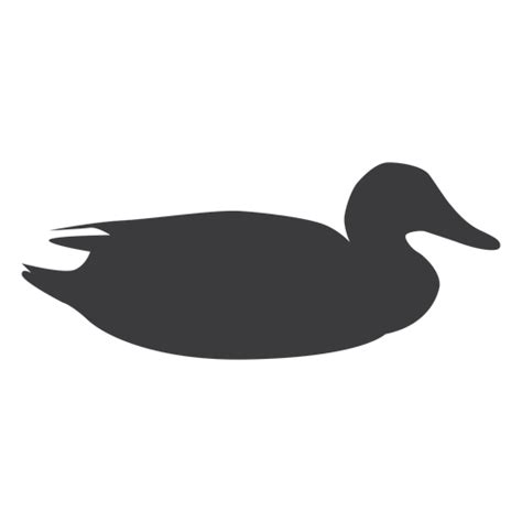 Drake Duck Wild Duck Beak Water Swimming Silhouette Ad Aff