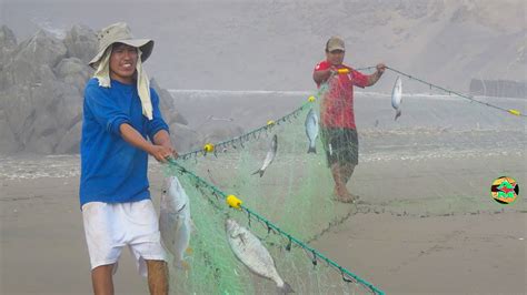 Como Se Pesca Con Red En El Mar Pesca Con Red Net Fishing In The