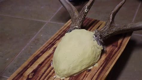 Finish off your crafts project with a roe deer antler. CHEAP DIY ANTLER MOUNT - YouTube