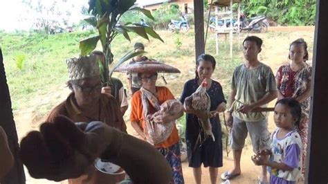 Makna Ritual Nahunan Upacara Suku Dayak Kalimantan Tengah Bertujuan