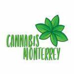 Monterreycannabis Com Nuevo Teléfono 813 566 9557