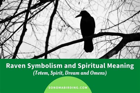 Raven Symbolism And Meaning Totem Spirit And Omens Sonoma Birding