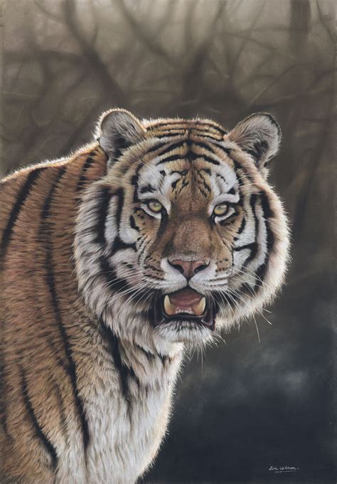 Eric Wilson Fine Art Tiger Paintings Original Fine Art Tiger Artwork