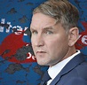 AfD: Wie sich der völkische Flügel um Björn Höcke neu formiert - WELT