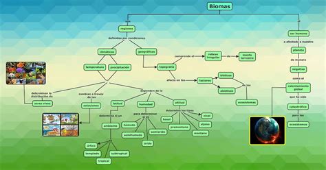 Mapa Conceptual De Los Biomas Tesmapa 10