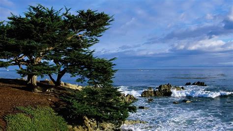 Monterey Wallpapers Top Free Monterey Backgrounds Wallpaperaccess