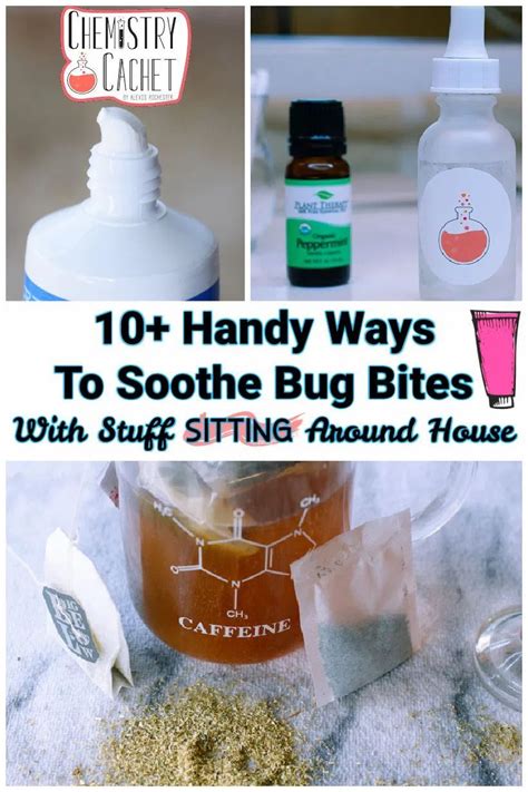 Science Based Home Remedies To Soothe Bug Bites In 2021 Remedies For