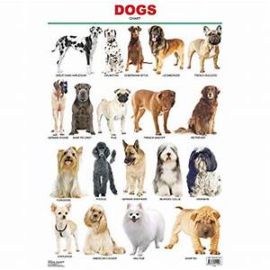 Dogs Chart Buy Online At Thulo Com At Best Price In Nepal