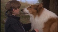 Tom in Lassie - Tom Guiry Image (23524081) - Fanpop
