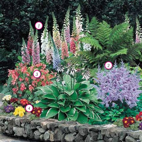 Perennial flowers give your garden design a beautiful look with their shape, colors, and textures. Pin by Marchelle on Garden/Landscaping | Shade loving ...