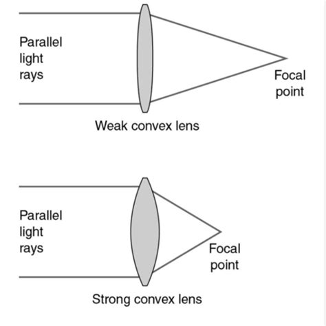 Week 1 Physiology Of Vision Flashcards Quizlet