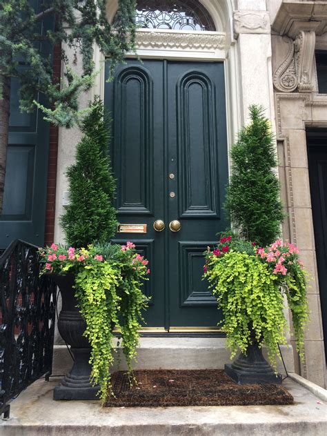 30 Plants For Front Door