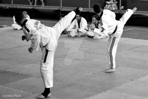 Taekwondo Yop Tchagui By Brunotito On Deviantart