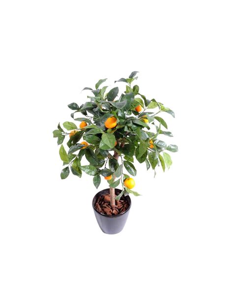 Arbuste Oranger Tete H85 Artificiel Tergal Belle Qualité Vegetal Shop
