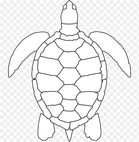 Turtle Shell Pattern Drawi Png Transparent With Clear Background Id